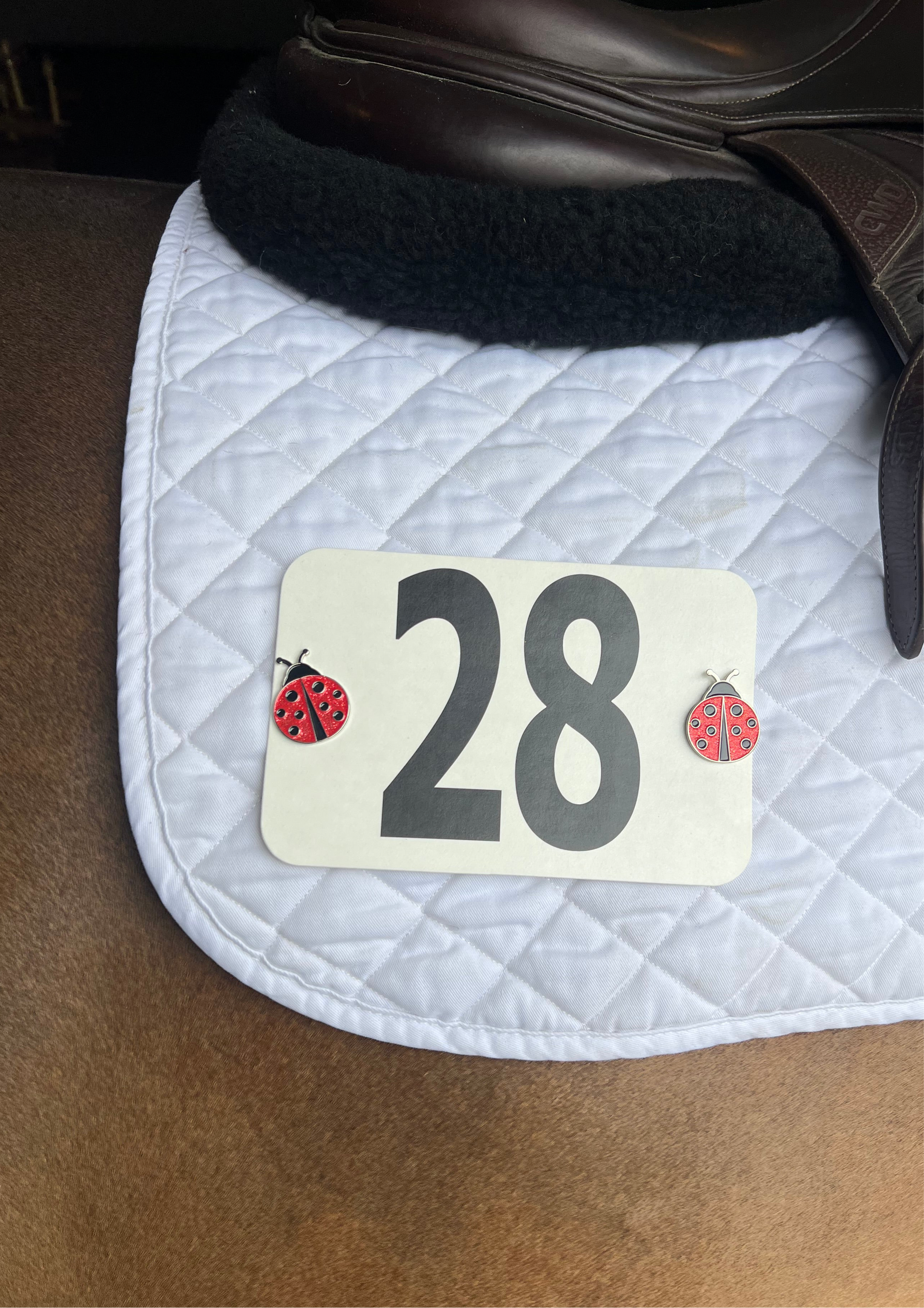 Ladybug Number Pin Charms