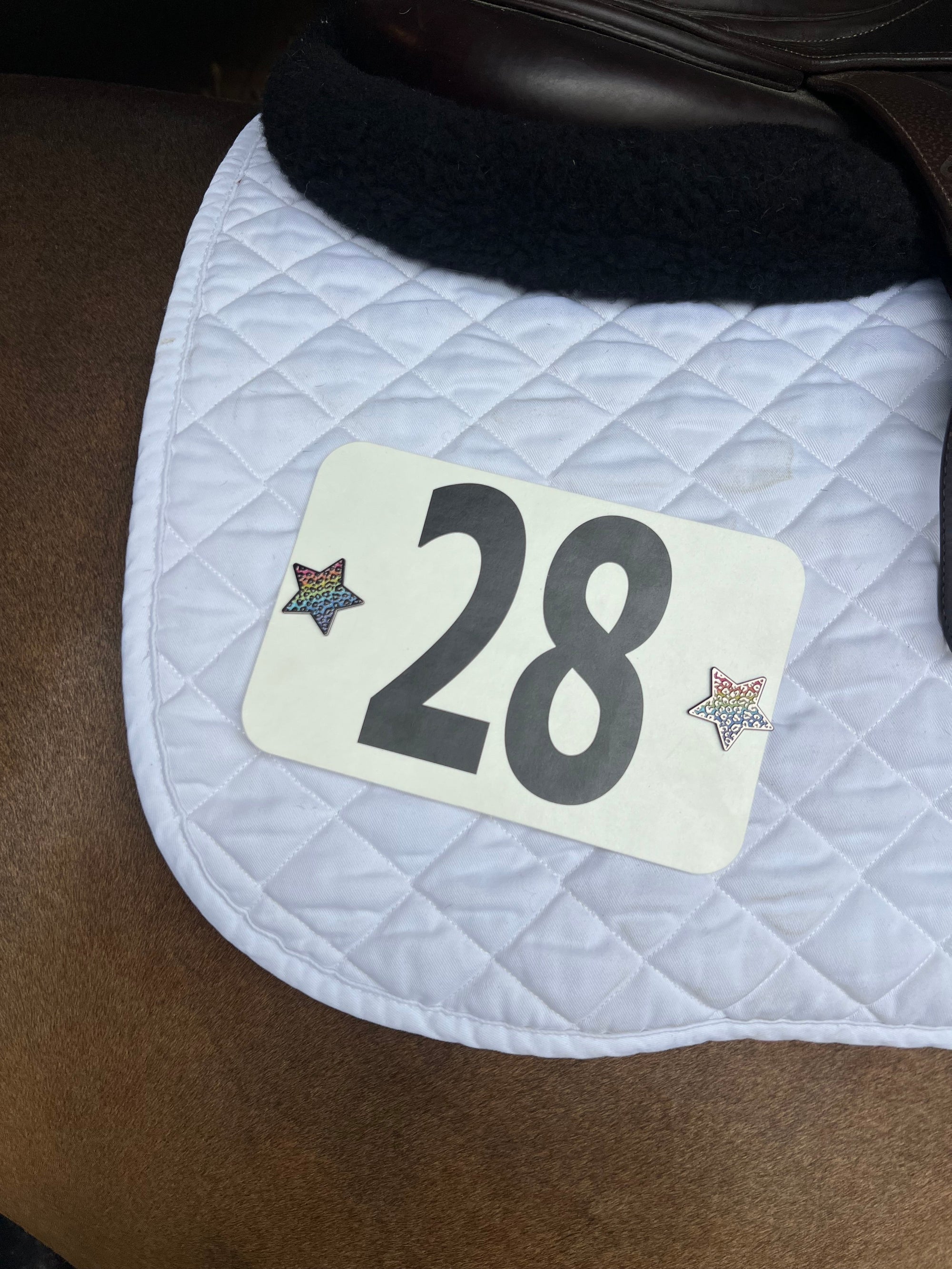 Rainbow Cheetah Number Pin Charms