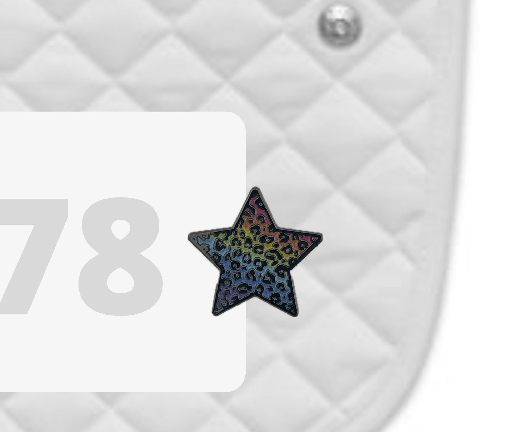 Rainbow Cheetah Number Pin Charms