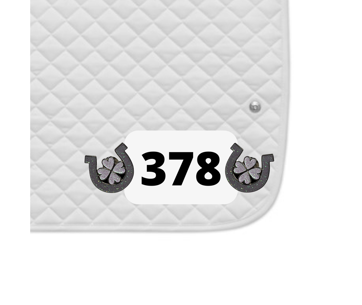 Horseshoe Clover Number Pin Charm